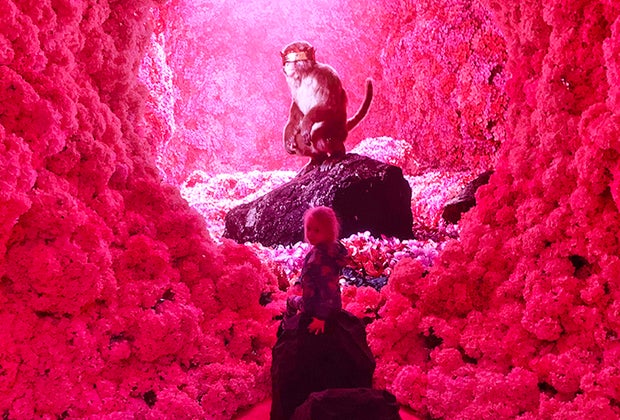 Mixing It up at Mercer Labs