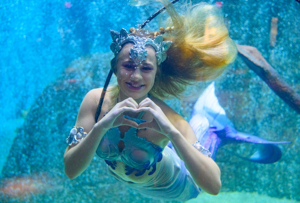Mermaids at Adventure Aquarium