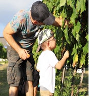 Photo courtesy of Messina Hof Winery