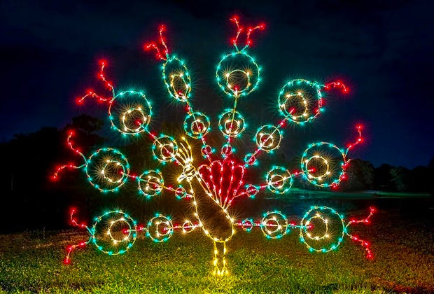 Holiday Fantasy of Lights