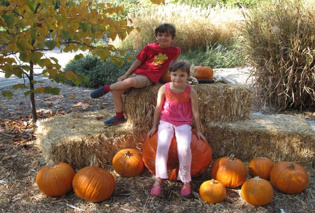 There are harvest displays in the fall and blooming flowers year round at Descanso Gardens.