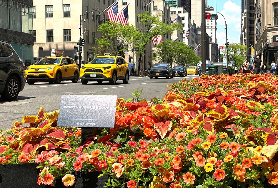 Midtown East: 41 Best Things To Do with Kids Fifth Avenue is lined with big-name shops, tourist attractions, and charming plantings and art installations in all seasons.