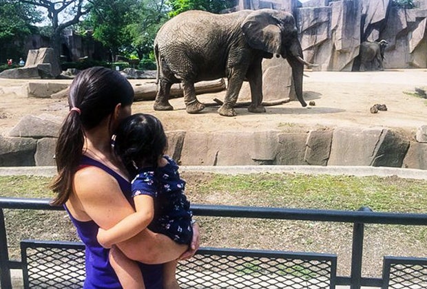 The Best Zoos and Aquariums for Chicago Kids: Milwaukee County Zoo