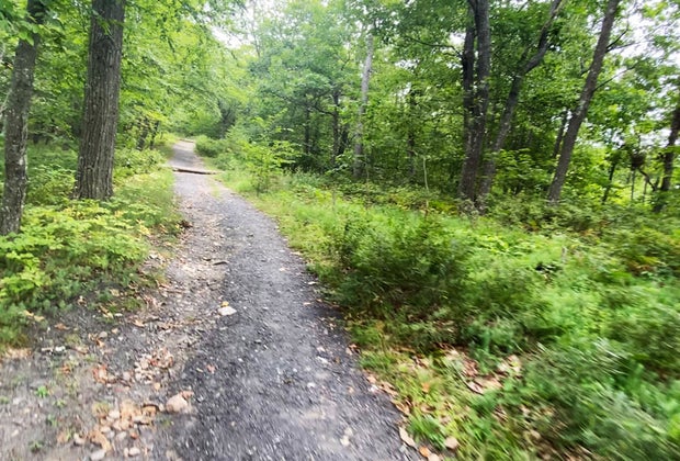 Hike the trails in High Point State Park