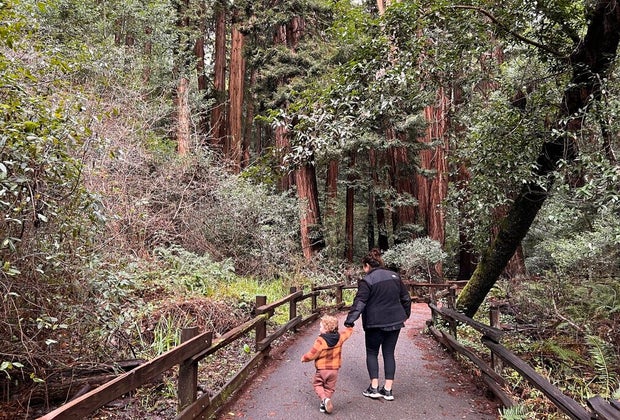 Hikes in San Francisco: Muir Woods National Monument