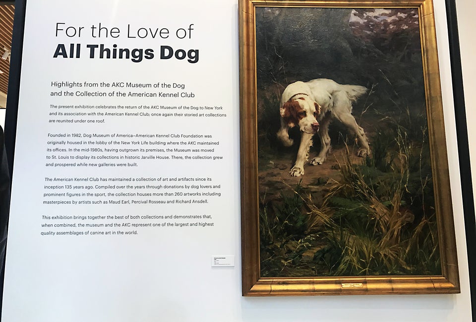 Museum of the Dog Opens Near Grand Central Dog lovers now have a museum to celebrate their love of dogs, Museum of the Dog.