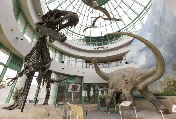 A family visit to Raleigh's North Carolina Museum of Natural Sciences is sure to impress. Photo by Karen Swain/VisitRaleigh.com