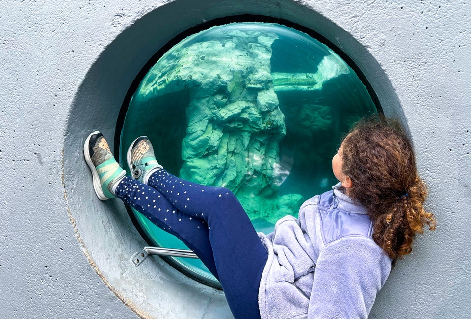 Visiting Mystic Aquarium with Kids: What You Need To Know Before You Go Mystic Aquarium offers Connecticut kids a remarkable look at sea life! Mystic Aquarium photo by Jocelyn Sherman Avidan