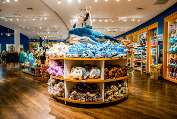Photo of stuffed-animal toy display at the Mystic Aquarium gift shop.