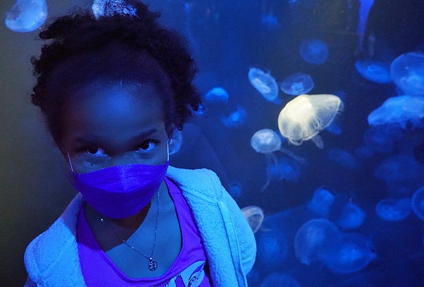 Pose with the jellyfish in the New York Aquarium's spineless exhibit