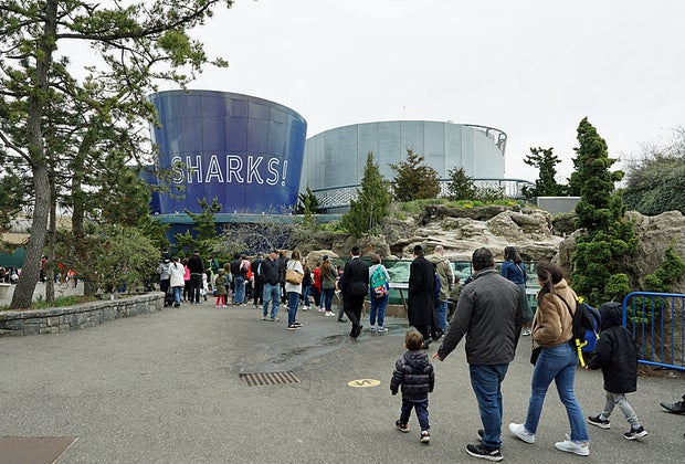 Guests wander the grounds of the New York Aquarium