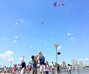 Come fly a kite along the Hudson River this weekend. Photo courtesy of FlyNYC