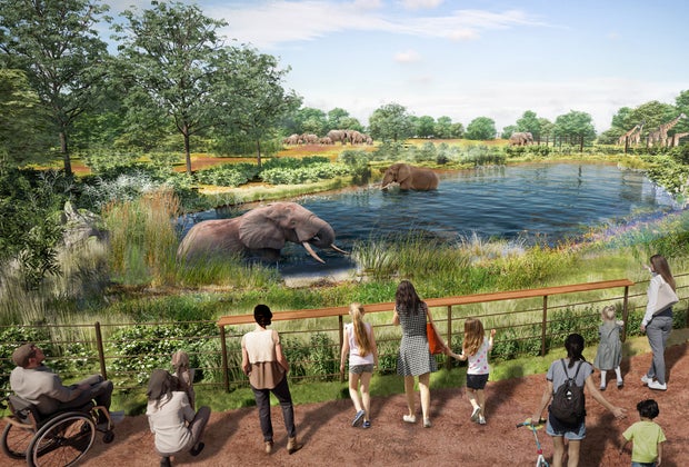 renderings of the Brookfield Zoo master plan
