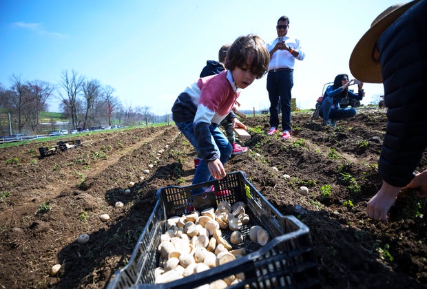 Planting time at Stone Barns Center for Food and Agriculture