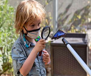 I spy with my little eye something that can flutter by! 