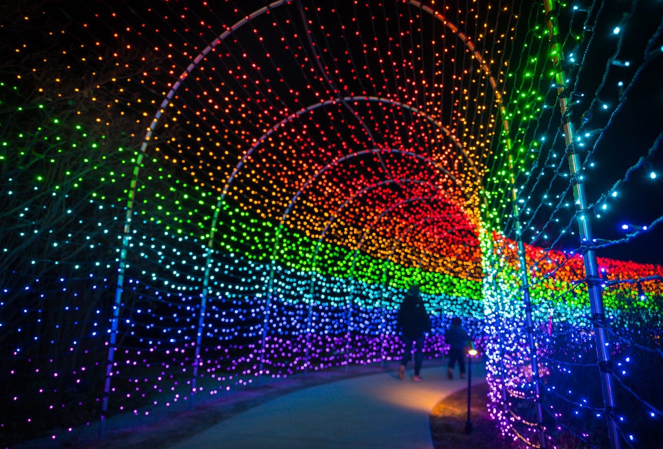 Night Lights: Color Cascade at New England Botanic Garden