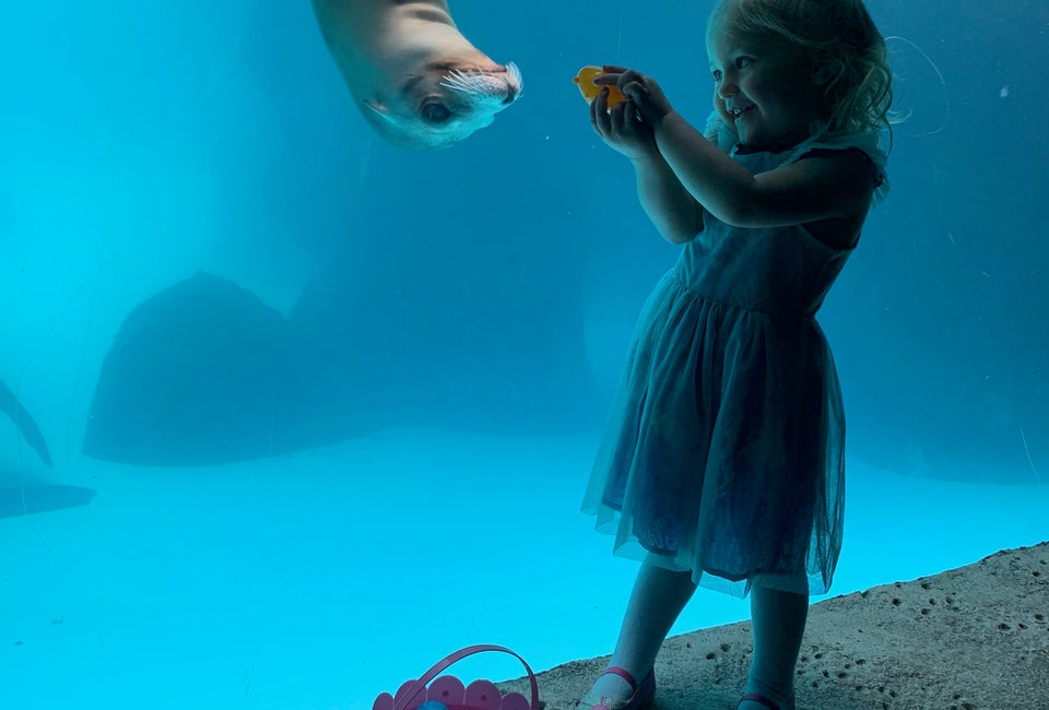 Easter Brunch at the Long Island Aquarium