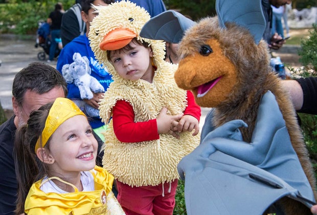 Things to do on Columbus Day in NYC Bronx Zoo's Boo at the Zoo