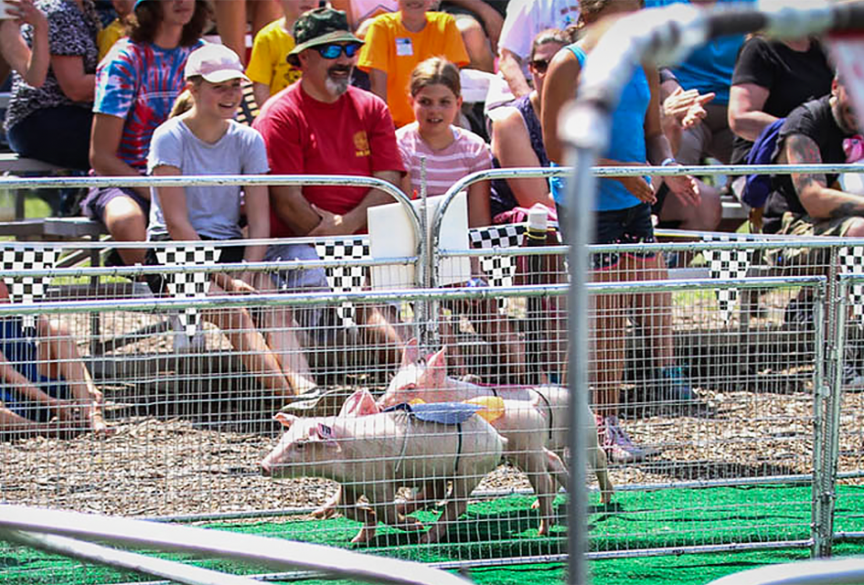 Enjoy loads of entertainment, including a petting zoo and pig races during the New Jersey State Fair. Photo courtesy of the NJ State Fair