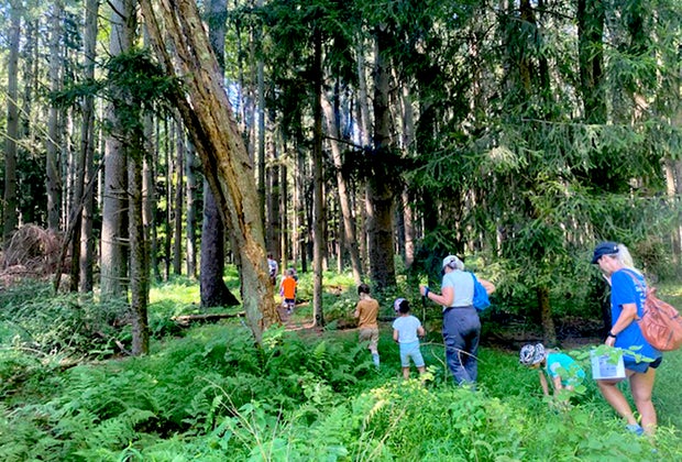 Birthday Party Places for Preschoolers : Rancocas Nature Center