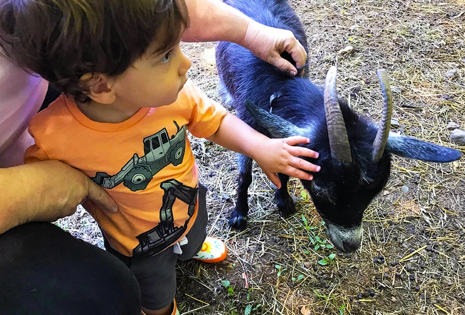 Meet the Animals at these New Jersey Petting Zoos and Animal Farms Pet baby goats on a visit to Brookhollow's Barnyard in Boonton. Photo by Kaylynn Ebner