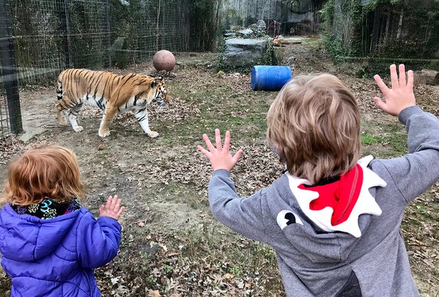 Cohanzick Zoo: NJ Fall Day Trips