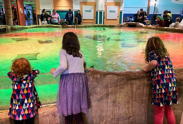 Adventure Aquarium Touch Tank