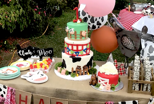 First birthday party ideas in New Jersey: Alstede Farms