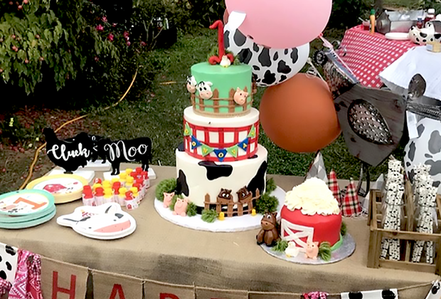 First birthday party ideas in New Jersey: Alstede Farms