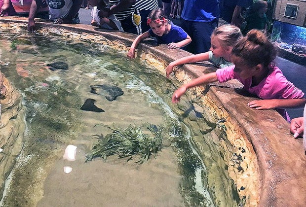 Visiting the Jersey Shore with kids: Jenkinson's Aquarium