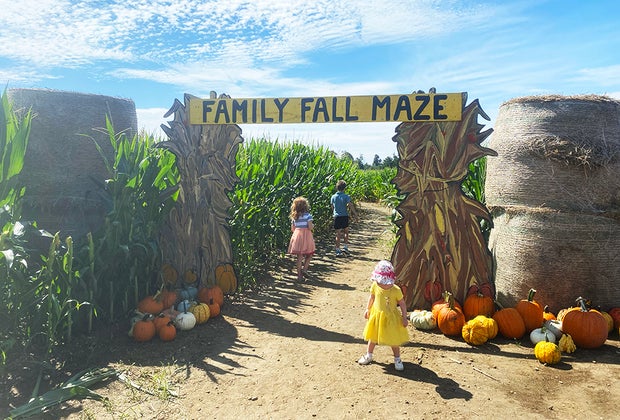 Johnson's Locust Hall Farm: Kids entering a corn maze