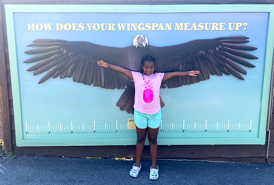 Visiting the Turtle Back Zoo means plenty of cute photo ops. 