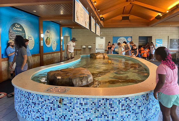 World of Water Turtle Back Zoo