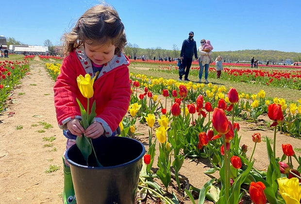 100 things to do in New Jersey witk kids:: Holland Ridge Farms