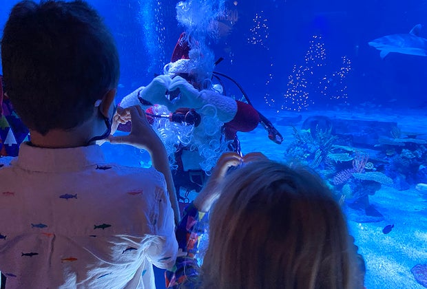 NJ Winter Day Trips Scuba Santa Adventure Aquarium