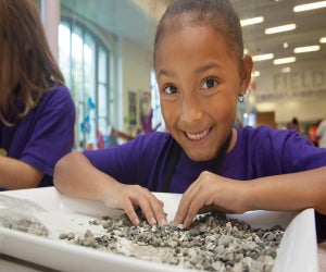 Enjoy open play at the National Museum of Natural History. Photo courtesy of Smithsonian Institution/National Museum of Natural History