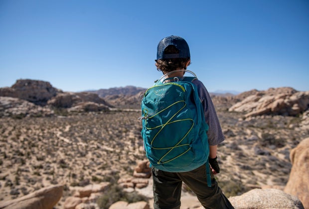 Joshua Tree Airbnbs, Hotels, and Campgrounds for Families: Explore the National Park