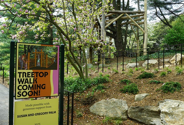 NYBG's Children's Garden Treetop Walk