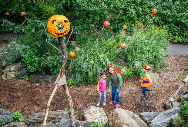 Things to do on Columbus Day in NYC NYBG Fall-o-ween