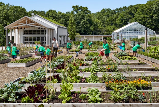 Explore the gardens of NYBG's Edible Academy