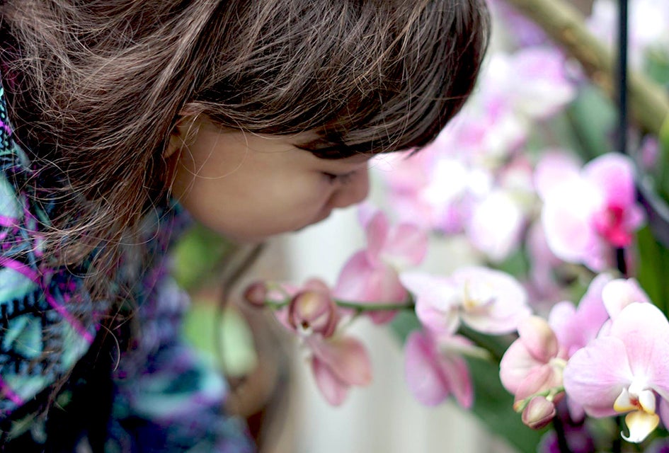 NYBG Orchid Show. Photo by  Jody Mercier