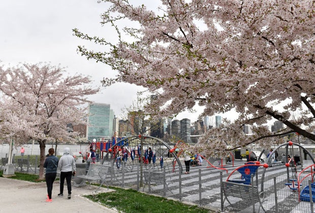 Hunter's Point South