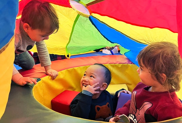 Things To Do with Kids in Carroll Gardens, Cobble Hill, and Boerum Hill: Brooklearn