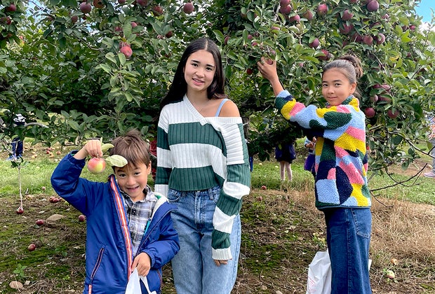 Fall Day Trips from NYC: Apple Picking