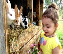 These farm stays near NYC let city kids get close to farm animals like bunnies, cows, chickens, sheep, and more. Photo courtesy of Hull-O Farms
