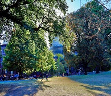 Fort Greene Park. 