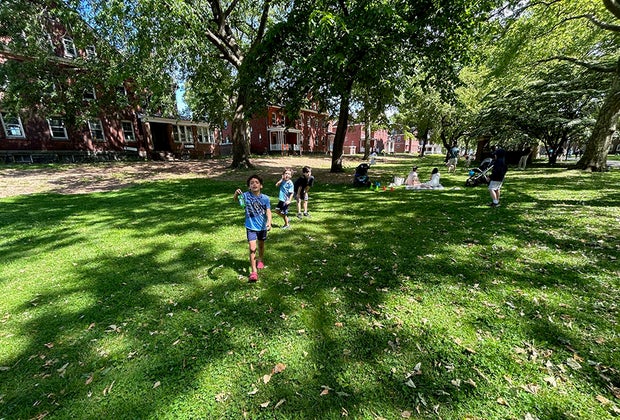 Things to do on Governors Island with kids: Enjoy the lawns