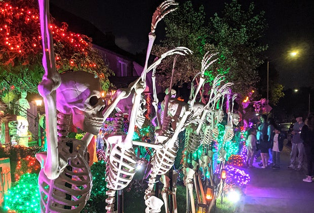 Skeletons in a Halloween display in Bayside