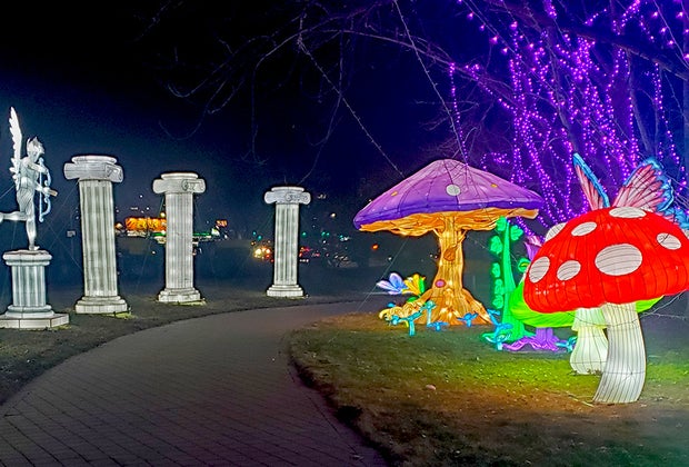 Luminosa Light Show at Queens Botanical Garden