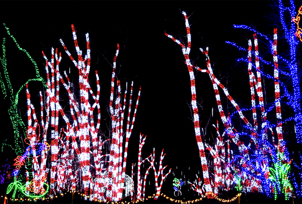 Holiday lights drive-thrus near NYC: Shady Brook Farm